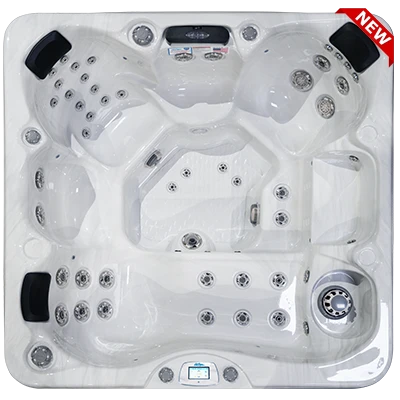Avalon-X EC-849LX hot tubs for sale in Whittier
