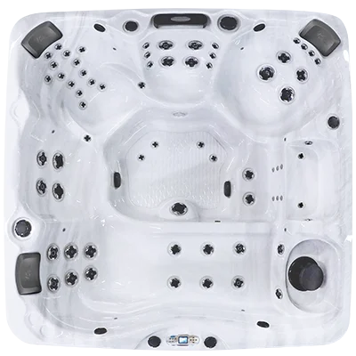Avalon EC-867L hot tubs for sale in Whittier